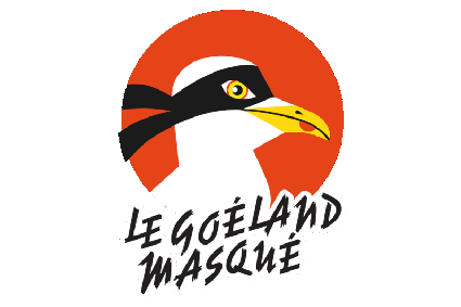 Goéland Masqué