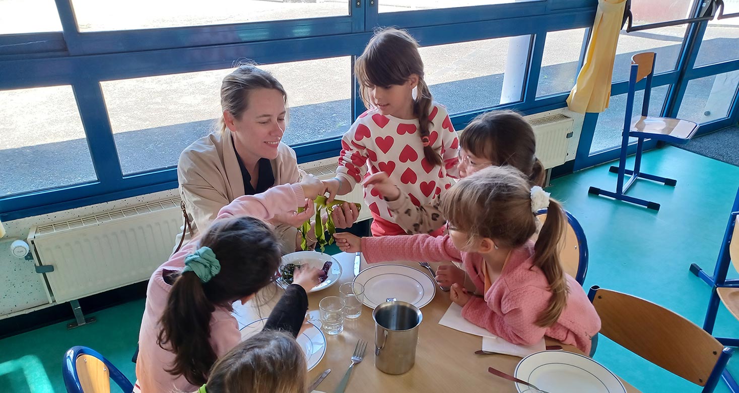 La fête l’océan s’est invitée dans les écoles