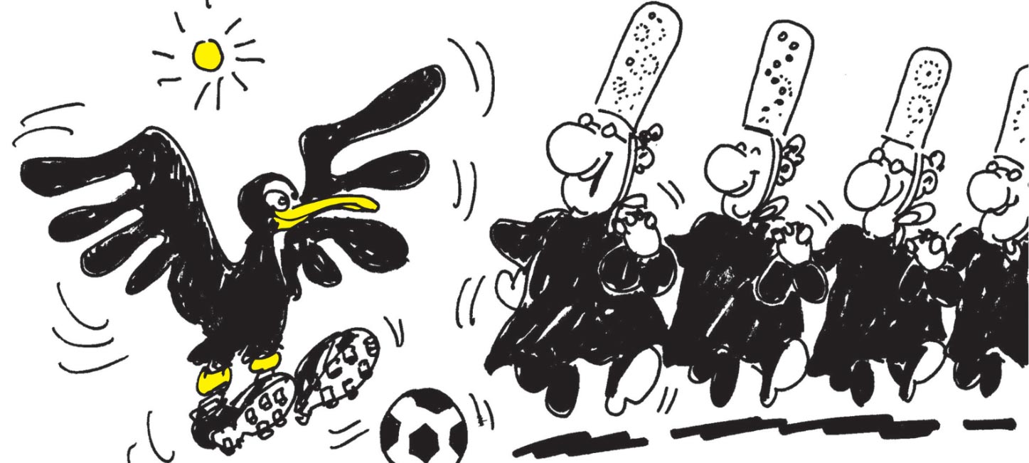 Cormorans sportifs : fête annulée