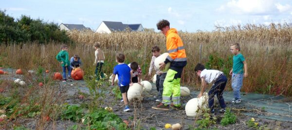 À l’ALSH, les enfants ont récolté des courges avec enthousiasme !