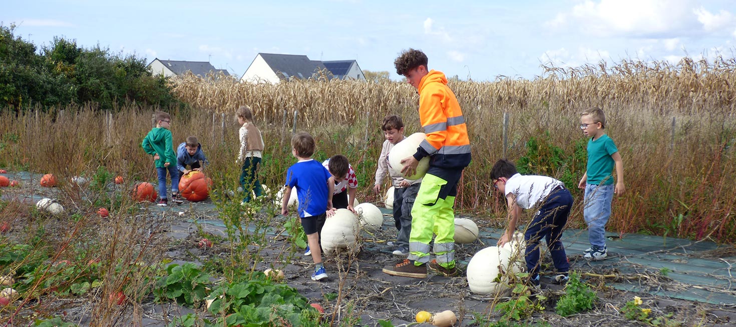 À l’ALSH, les enfants ont récolté des courges avec enthousiasme !