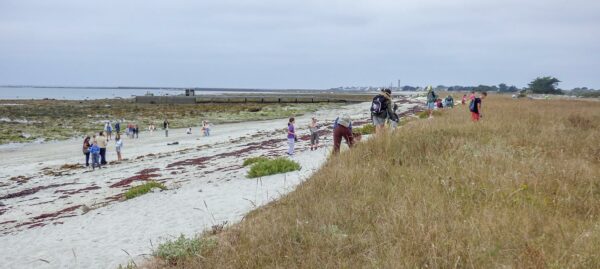 Écoles, habitants : tous mobilisés pour un littoral propre