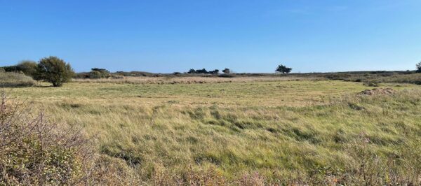 Marais : préservation de la richesse écologique