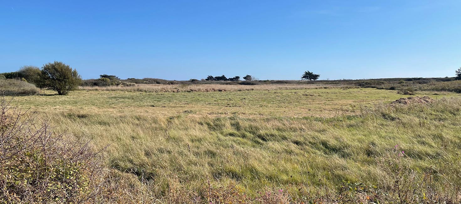Marais : préservation de la richesse écologique