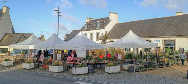 Marché aux plantes, seconde édition le samedi 25 octobre à la MPT