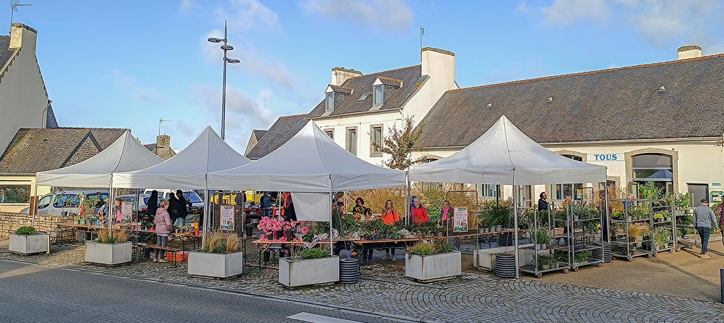 Marché aux plantes, seconde édition le samedi 25 octobre à la MPT