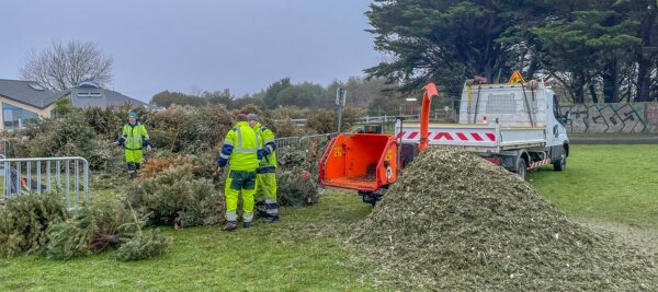 Sapins de Noël : deux lieux de collecte jusqu’au 2 février